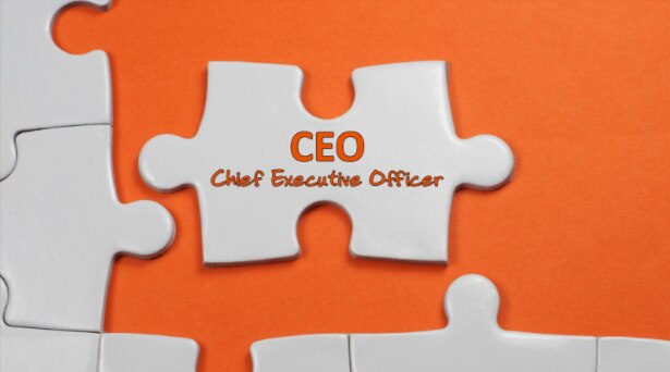 How to Select the Right Fractional CEO for Your Business