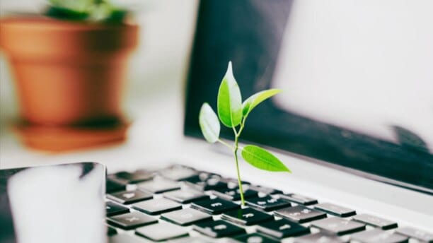 The Intersection of Digital Transformation and Sustainability