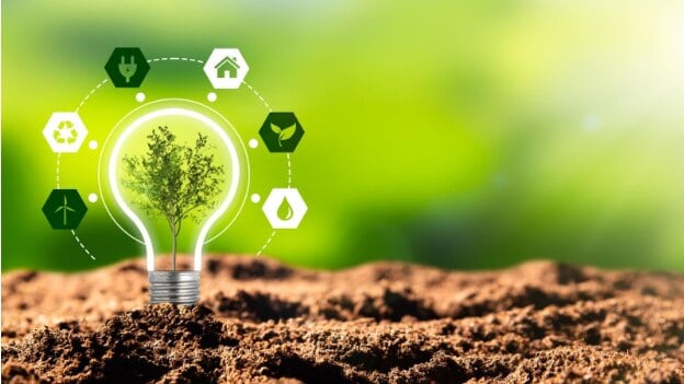 Combining Digital Transformation with Environmental Responsibility